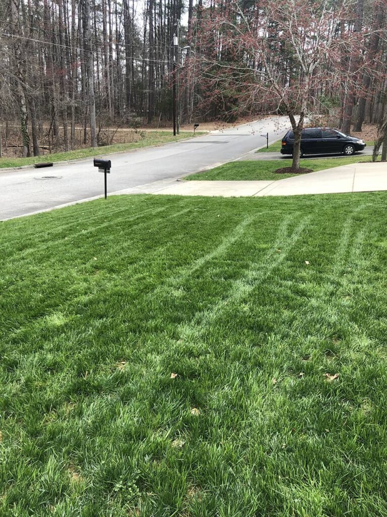 Commercial Lawn Care Services Franklinton, NC