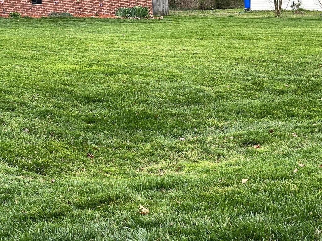 Lawn Care Maintenance Franklinton, NC