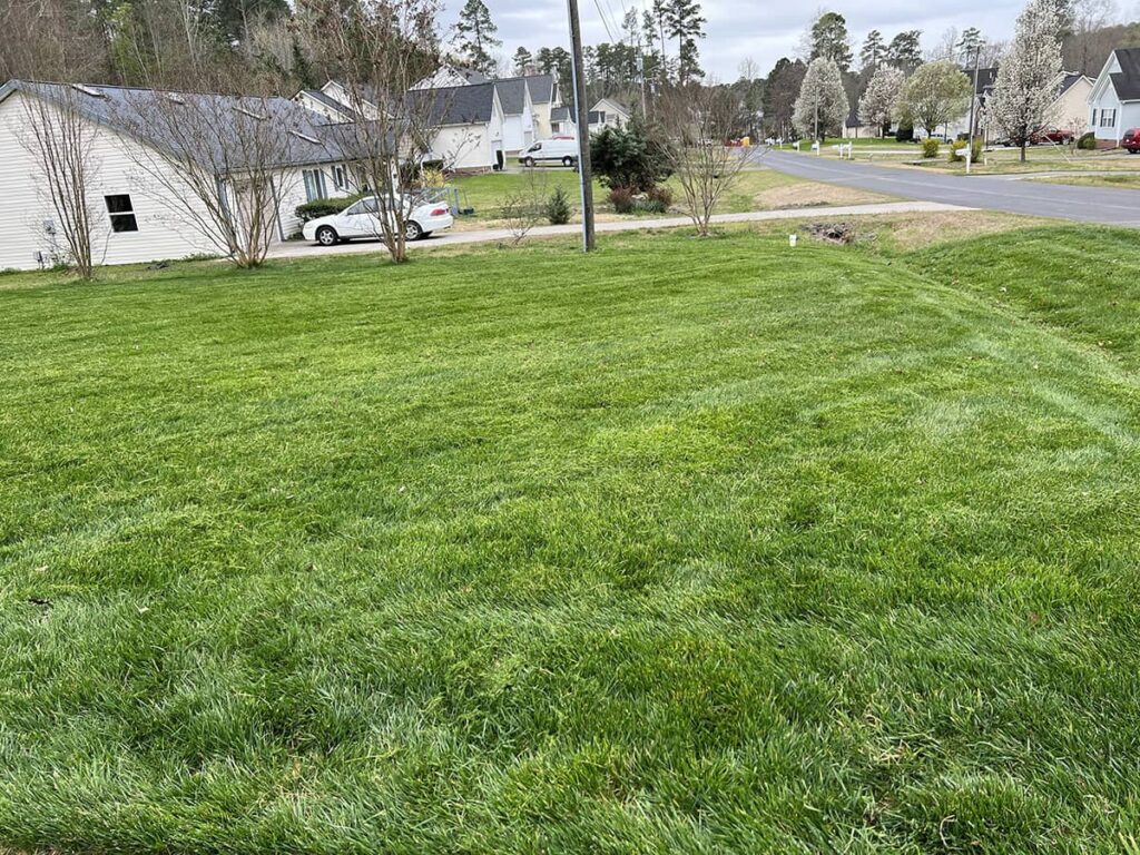 Green Lawn Care Service Franklinton, NC