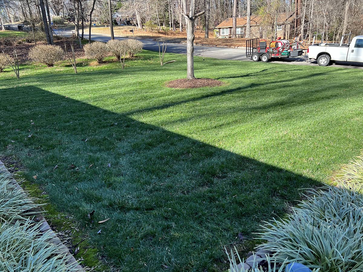 All Turf Lawn Care
