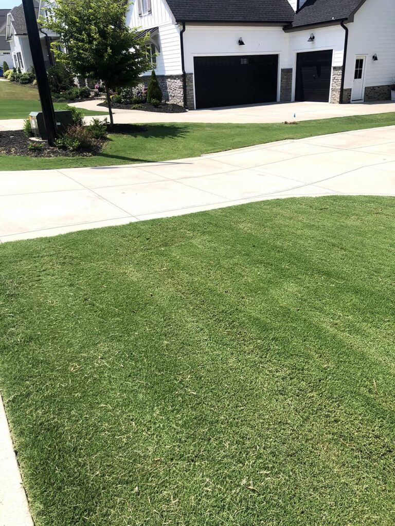 Natural Lawn Care Franklinton, NC