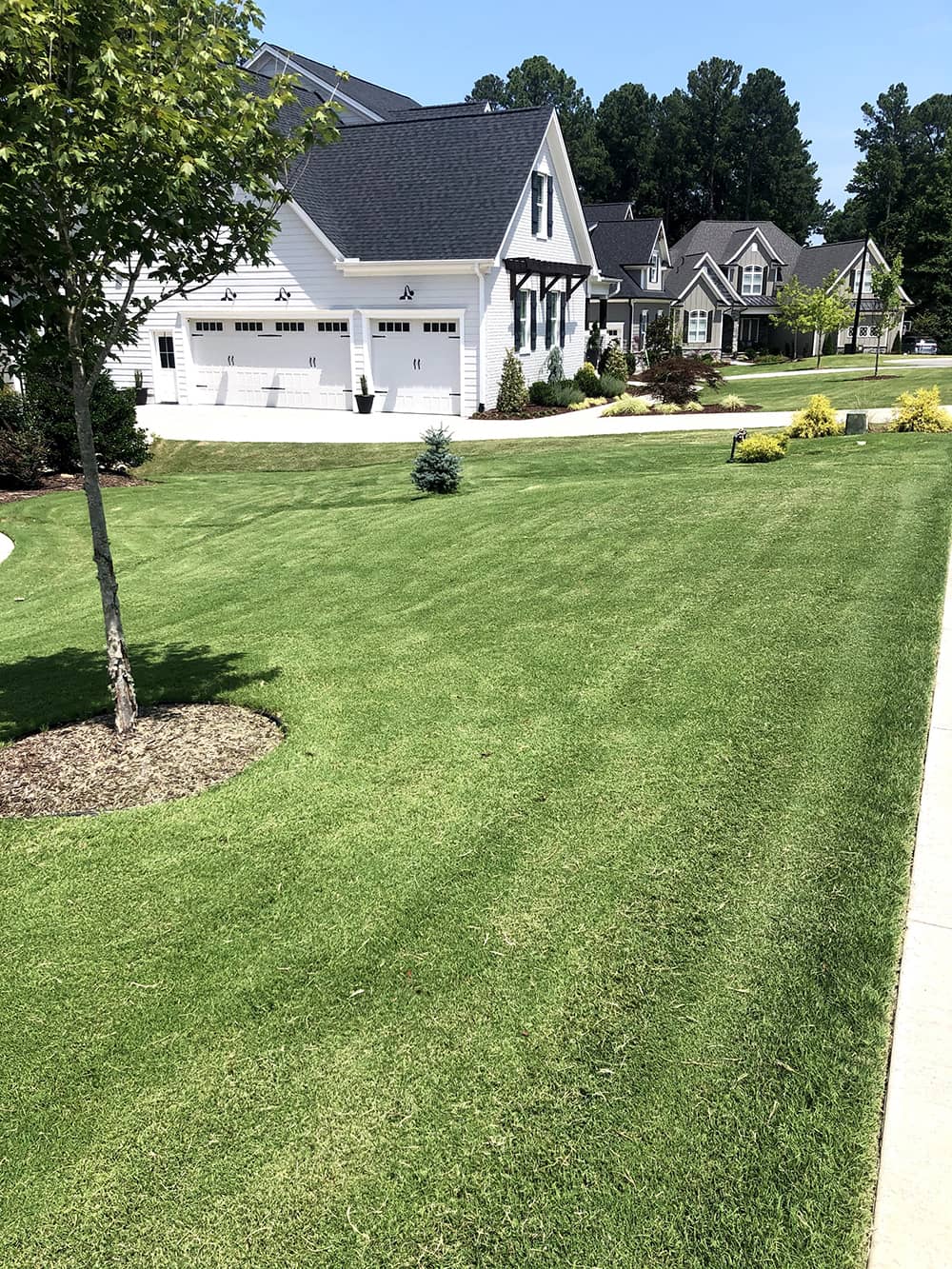 White Home with Lawn Care and Trimmed Tree and Bushes