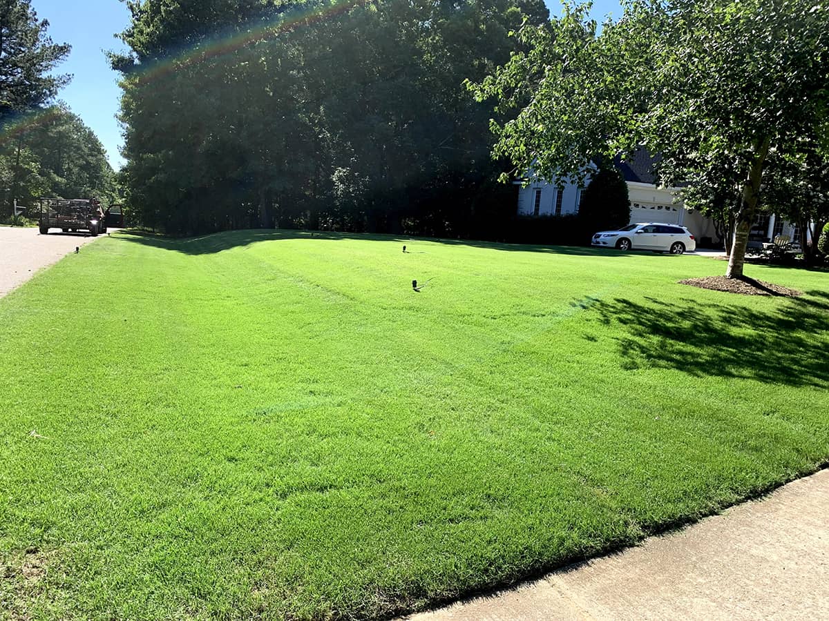 affordable-lawn-care-distinct-lawns