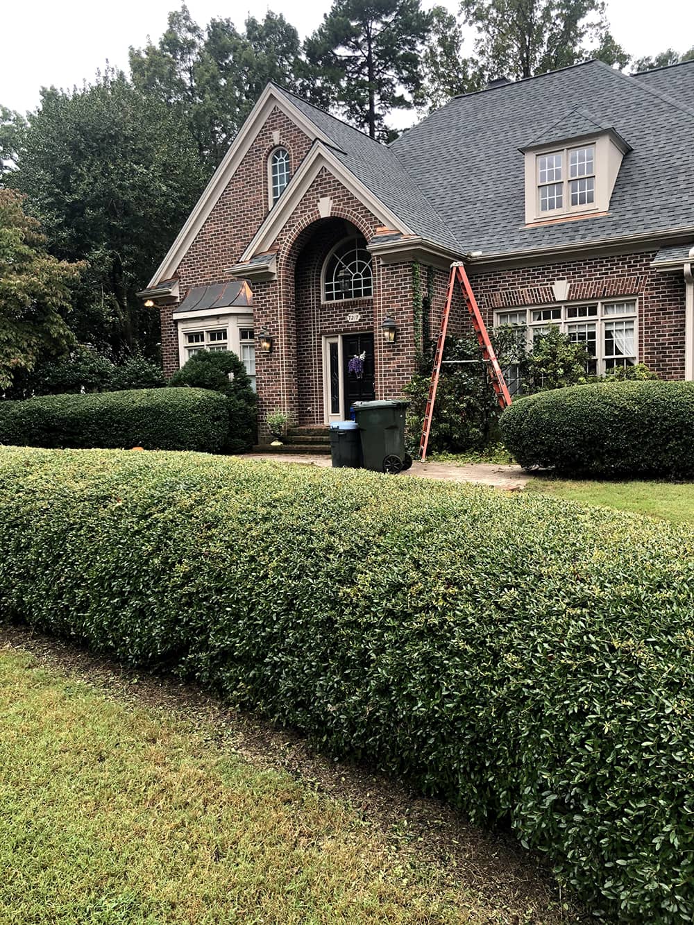 brick home with red ladder and mulch around bushes