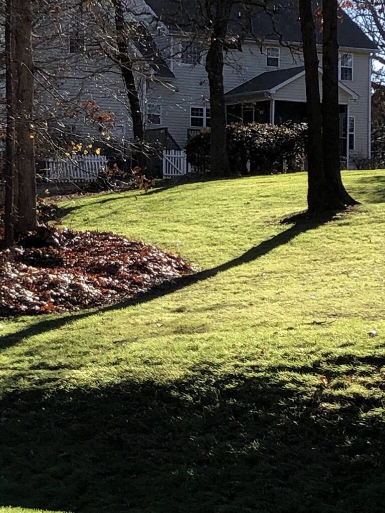 Fall Lawn Care