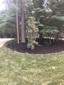 Franklin MA Landscapers