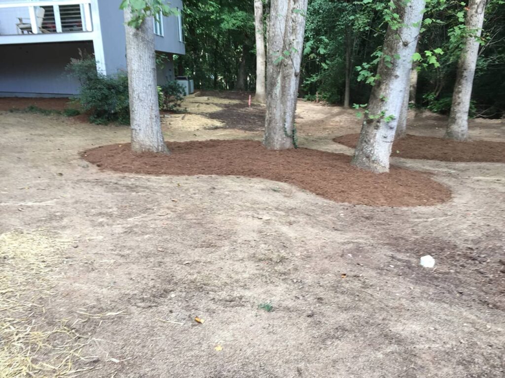 local lawn aeration