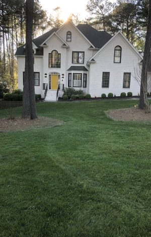 white house with yellow door after aeration and seeding