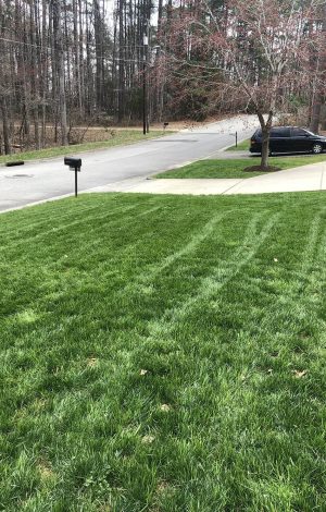 lawn with aeration and seeding and black mailbox