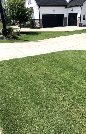 Natural Lawn Care