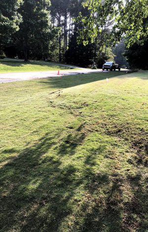 lawn before sod installation