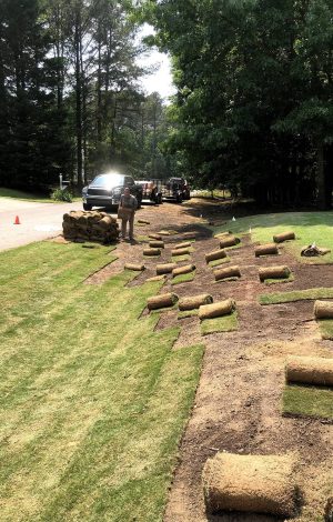 professional with work truck laying sod