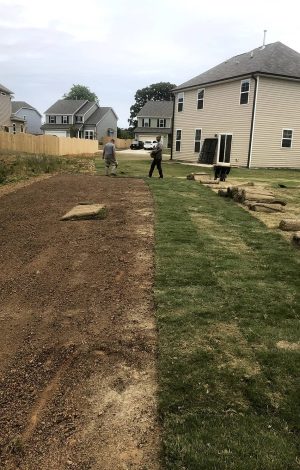 professionals getting ready to lay sod on lawn